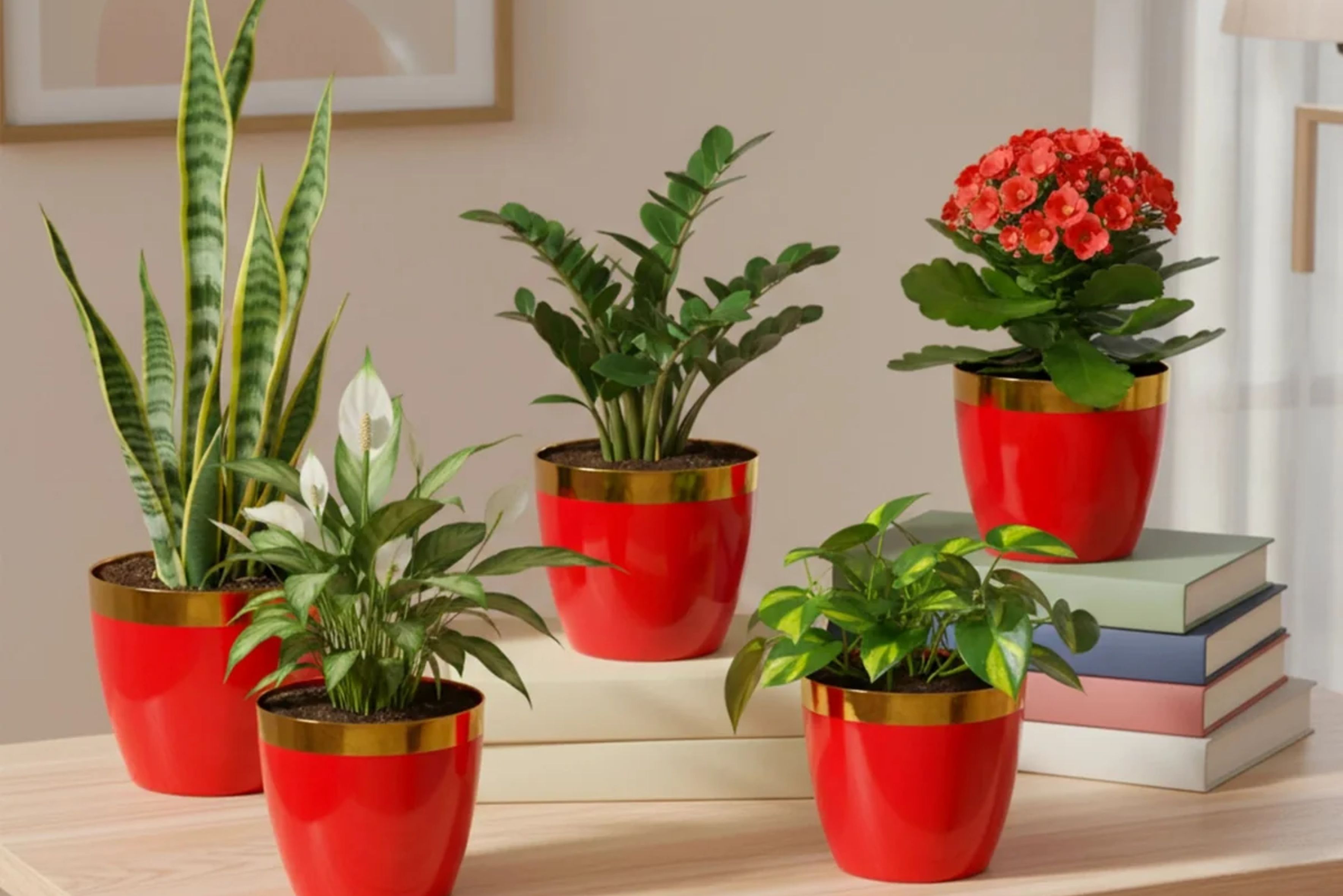 Pots and Planters
