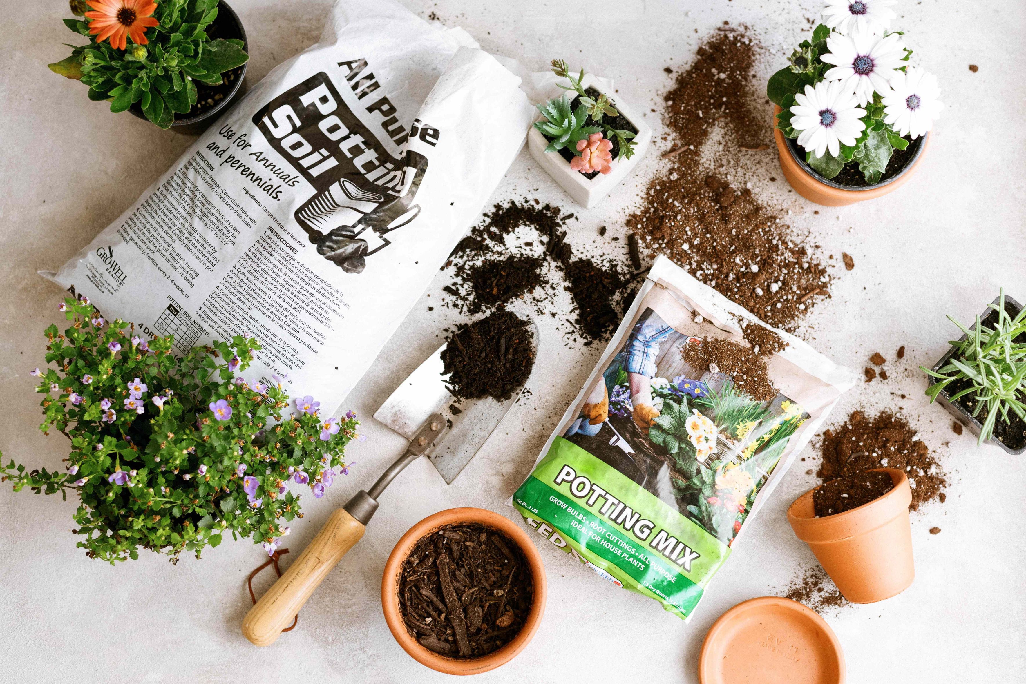 Potting Mix and Fertilizers