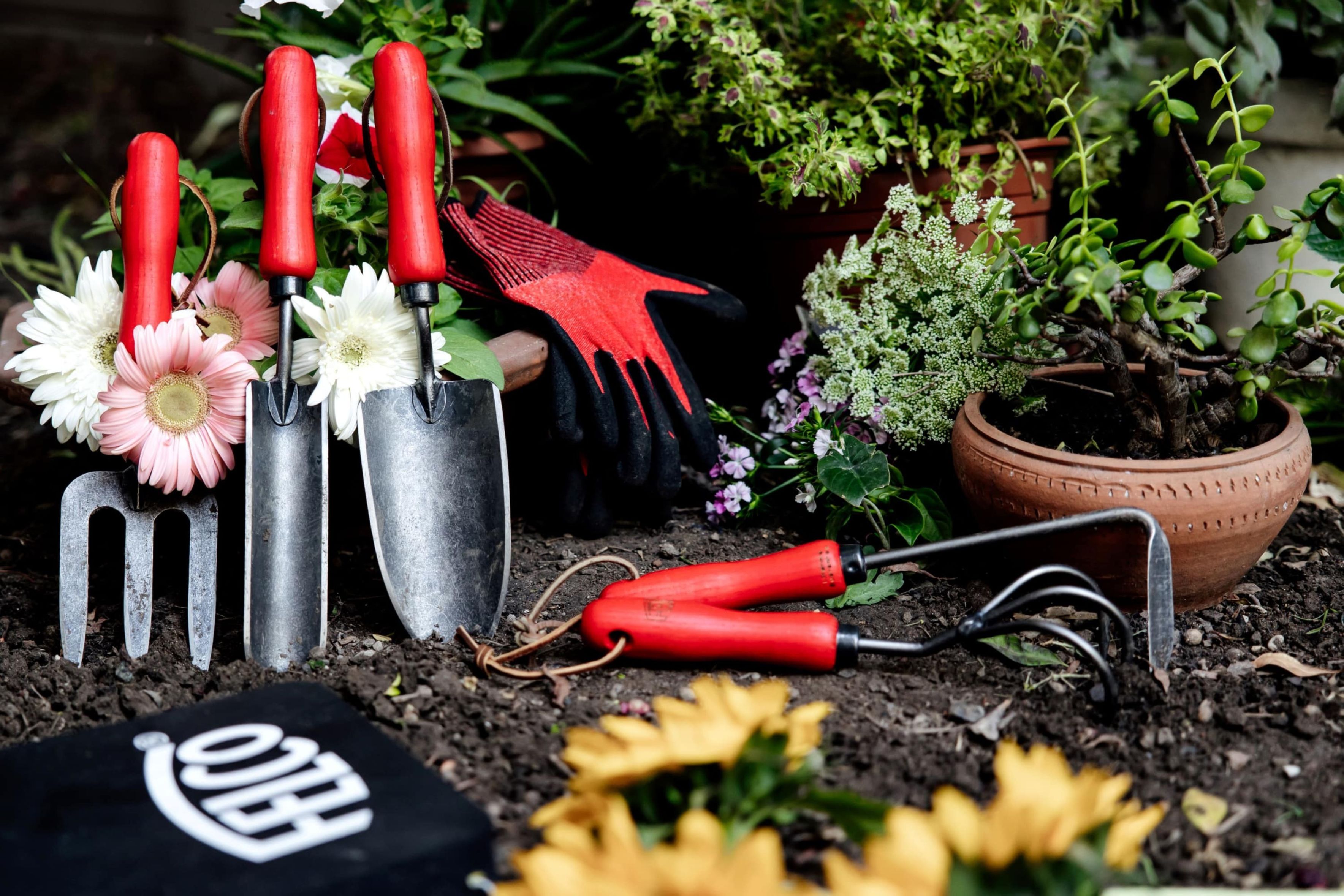 Gardening Accessories